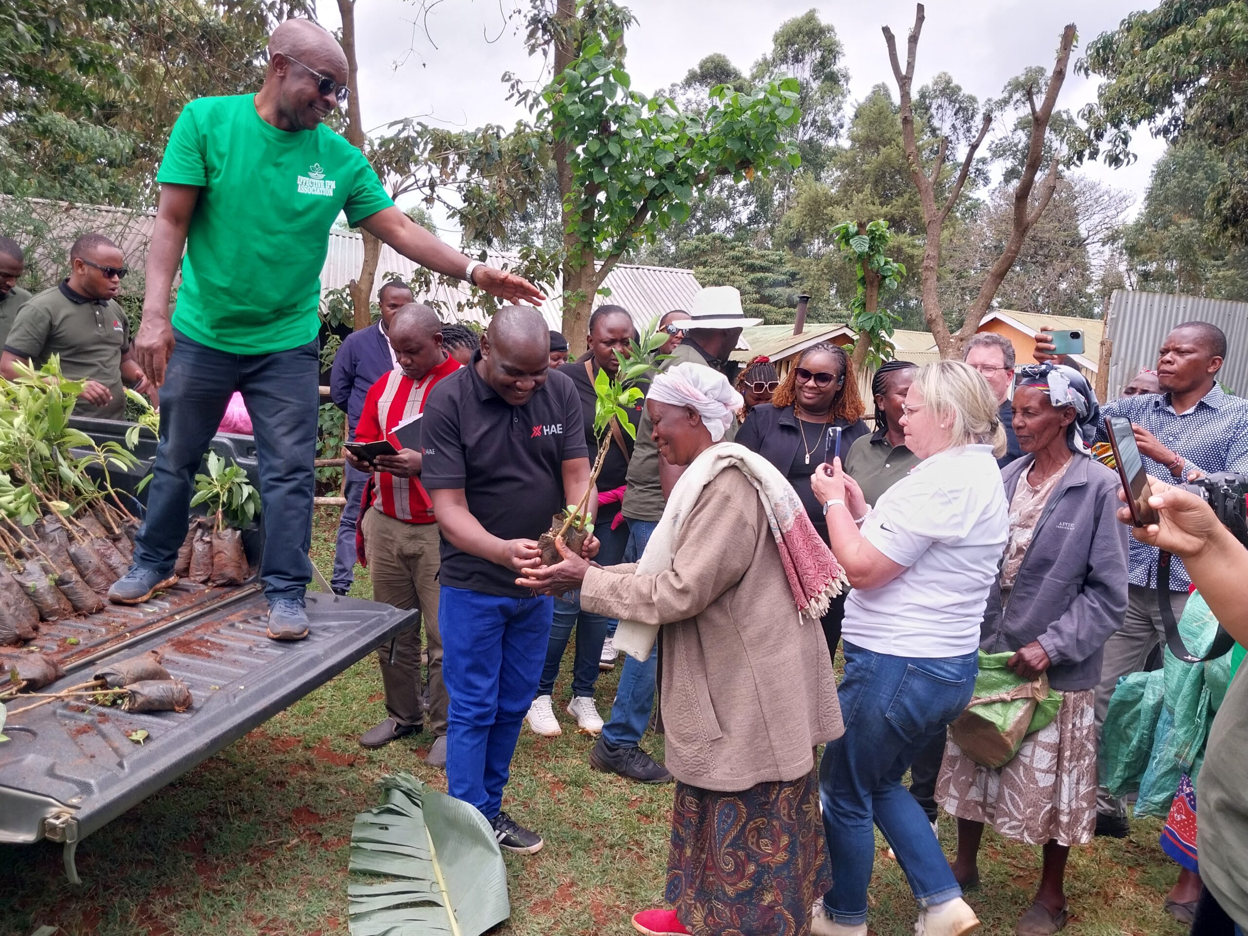 Mrs. Ngunjiri receives fruit seedlings in Karatina