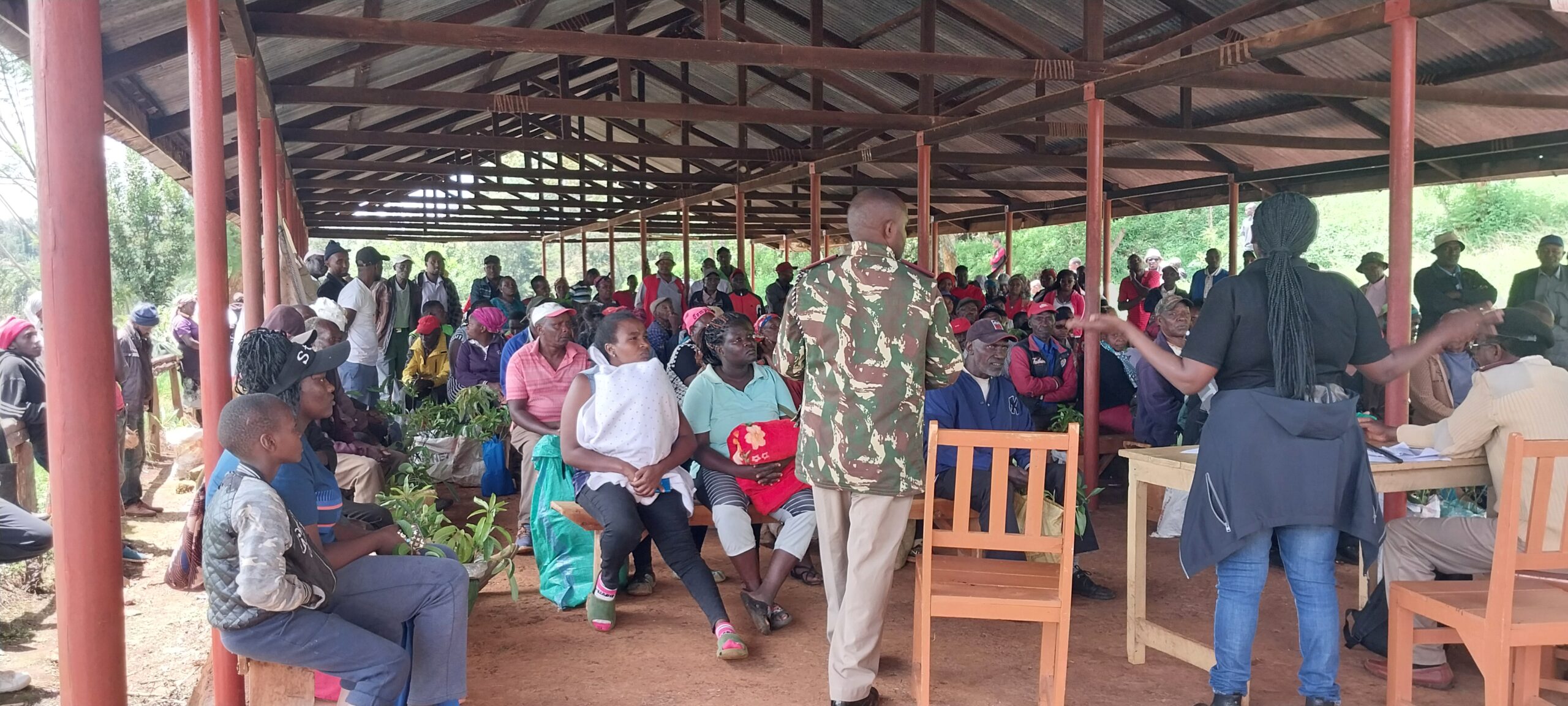 Fruit growing farmers gather in Ngandu village - Karatina